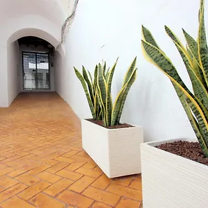 Conil10 , Conil De La Frontera España