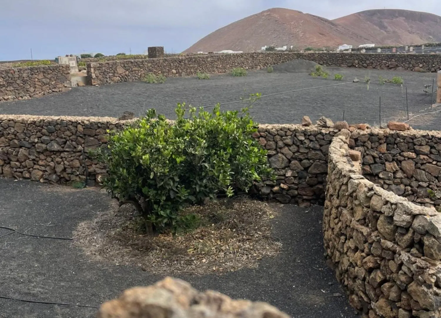 Villa Timanfaya Tinajo